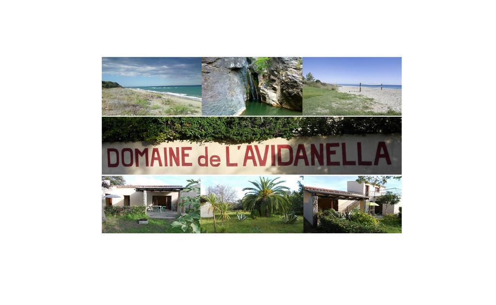 サンタ・ルシア・ディ・モリアニDomaine De L'Avidanellaアパートメント エクステリア 写真